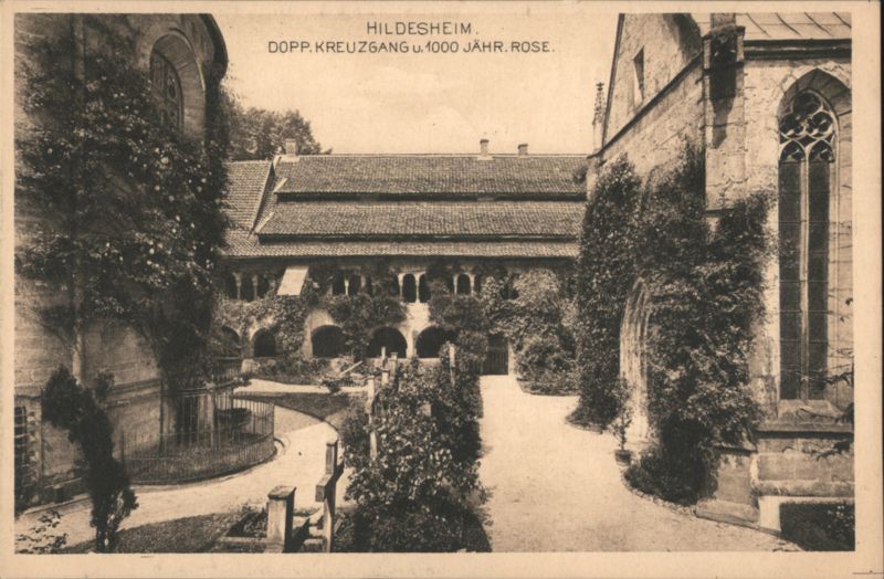 Hildesheim Double Cloister & 1000 Year Old Rose Germany
