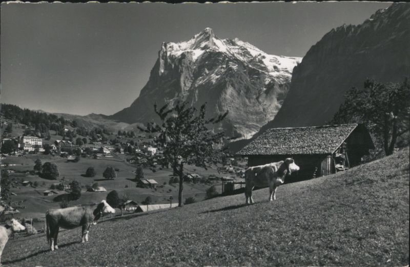Grindelwald mit Wetterhorn Switzerland E. Gyger u. Klopfenstein