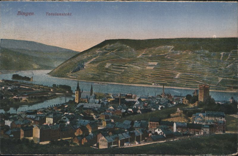Bingen Panoramic View with River & Vineyards Germany