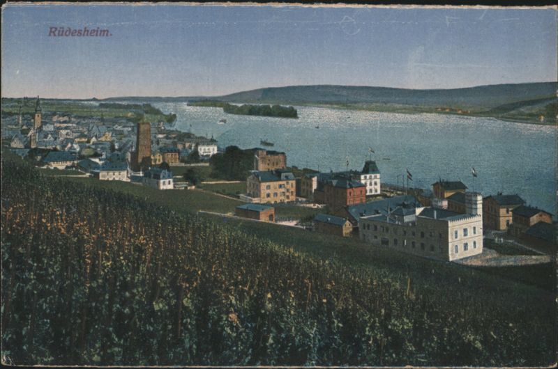 Rüdesheim View with Vineyards and River Germany
