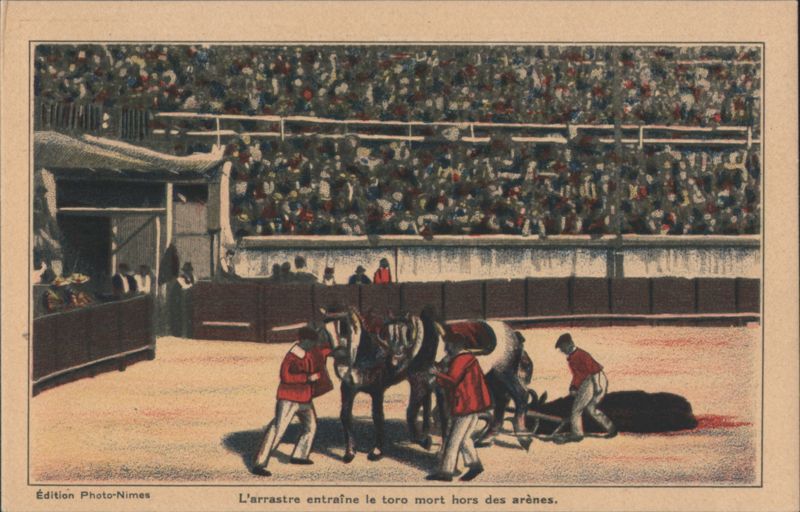 Bullfight: Dragging Dead Bull from Nîmes Arena France