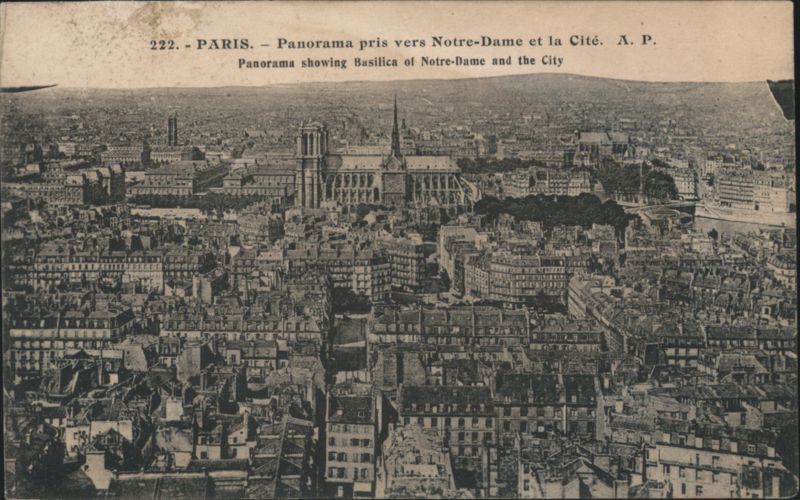Paris Panorama Notre-Dame et la Cité France