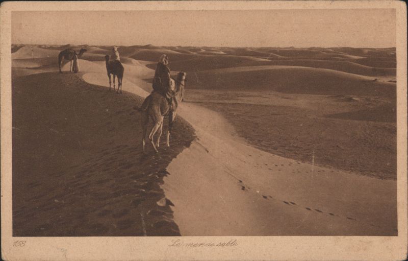 La mer de sable Camels