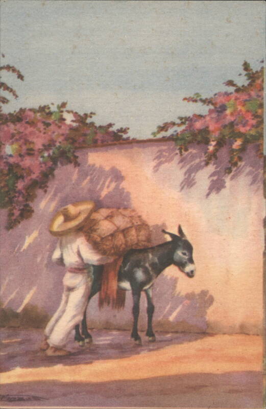 Asunto Típico Mexicano Mexico