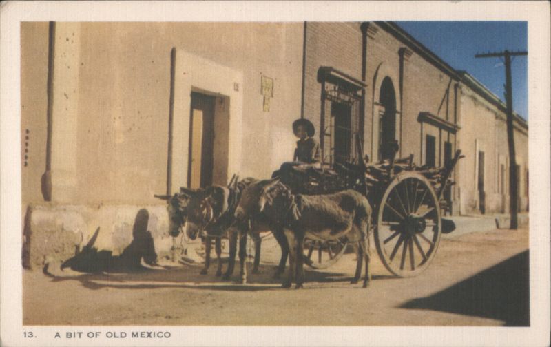 A Bit of Old Mexico: Street Scene with Burro Cart