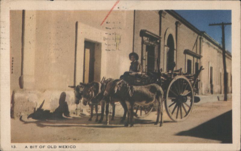 A Bit of Old Mexico Street Scene with Donkeys