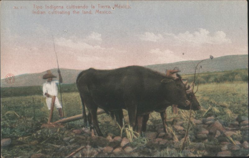 Indian Cultivating Land, Mexico