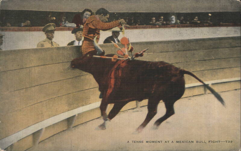 A Tense Moment at a Mexican Bull Fight Mexico
