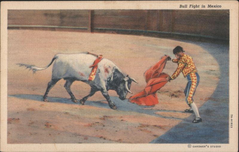 Bull Fight in Mexico - Matador and White Bull in Arena