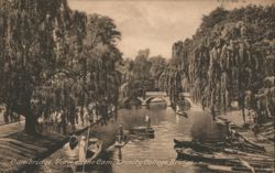Cambridge, View on the Cam, Trinity College Bridge Postcard