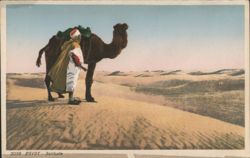 Man & Camel in Desert - Solitude, Egypt Postcard