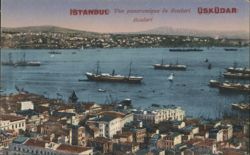 Istanbul Panoramic View of Üsküdar (Scutari) Postcard