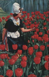 Woman in Dutch Costume in Red Tulip Field, Holland Postcard