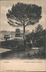 Il Colosseo veduto dal Palatino, Roma Postcard