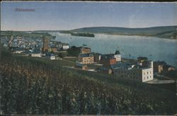 Rüdesheim View with Vineyards and River Postcard