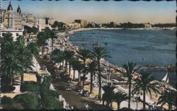 Cannes La Croisette Promenade Palm Trees Beach Sea Postcard