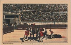 Bullfight: Dragging Dead Bull from Nîmes Arena Postcard