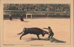 Nimes Bullfight: Matador's Estocade Postcard