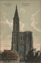 Strassburg Münster Cathédrale Postcard