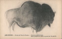 Les Eyzies Font de Gaume Cave Prehistoric Bison Painting Postcard