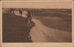 La mer de sable Postcard