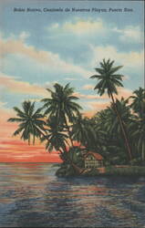 Bohio Nativo, Centinela de Nuestras Playas Postcard