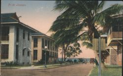 Fr. de Lesseps. Street Scene, Buildings & Palm Tree Postcard