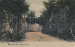 Road of Mount Langton, Bermuda Postcard