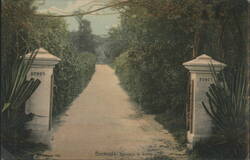 Entrance to Soncy, Bermuda Postcard