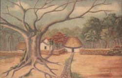 Rural Mexican Scene, Tamluum, Large Tree & Houses Postcard