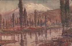 Painted Landscape of Xochimilco Canals and Mountain Postcard