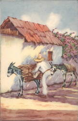 Mexican Types: Man Loading Donkeys Postcard