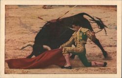 Bullfighter Kneeling with Red Cape and Bull, Madrid Postcard