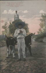 Indian Types Working in the Fields, Mexico Postcard