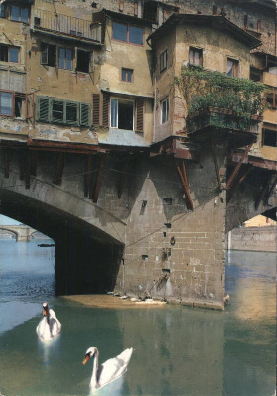 Ponte Vecchio Rear of Shops, Swans, Arno River Firenze Italy