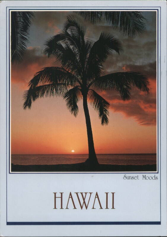 Hawaii Sunset Moods Palm Tree Silhouette Ocean John Wagner