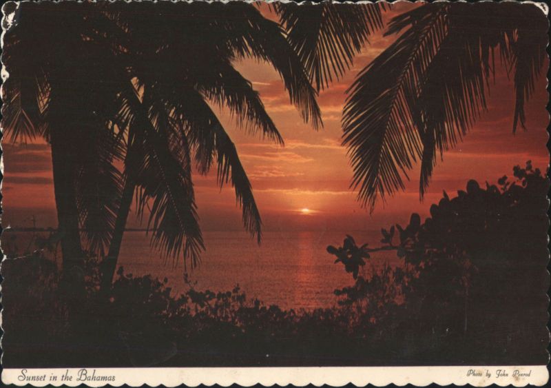 Sunset in the Bahamas with Palm Trees John Dorrid Caribbean Islands