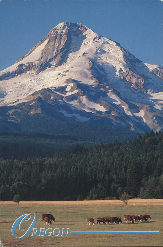 Mt. Hood, Oregon with Cattle Grazing in Field Peter Marbach