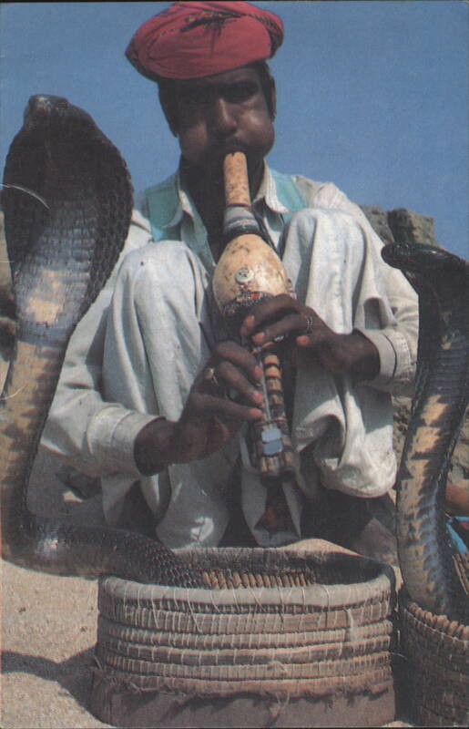Snake Charmer with Cobras, Karachi Pakistan