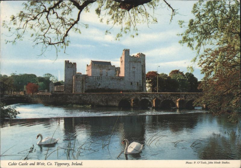 Cahir Castle & Weir, River Suir, Swans, Co. Tipperary Ireland