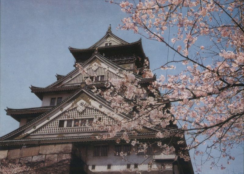 Osaka Castle Tower, Cherry Blossoms Japan N. Katayama