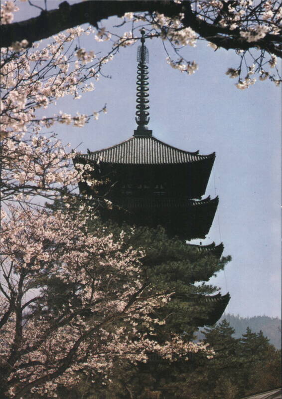 Kofuku-ji Five-Storied Pagoda with Cherry Blossoms Nara Japan