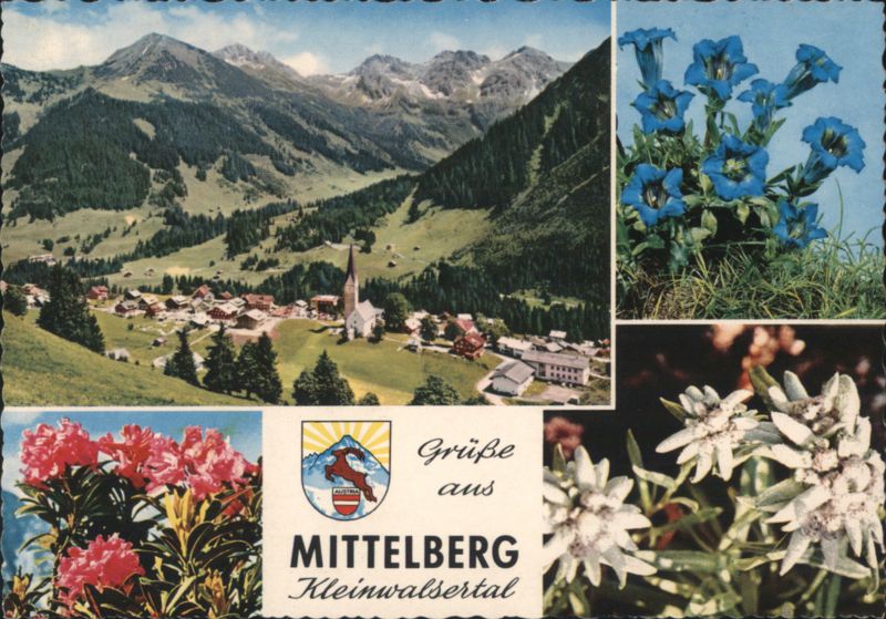 Mittelberg Kleinwalsertal, Austrian Alps, Gentians, Edelweiss