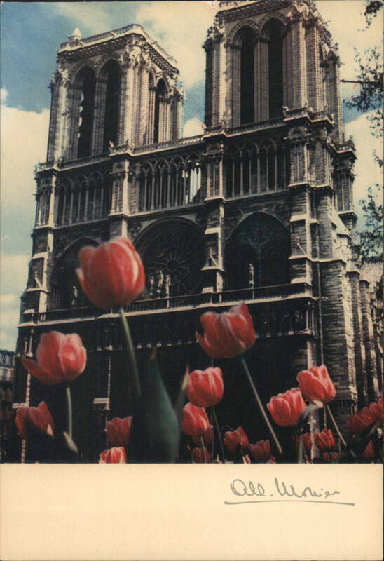 Notre-Dame Cathedral, Paris with Tulips France