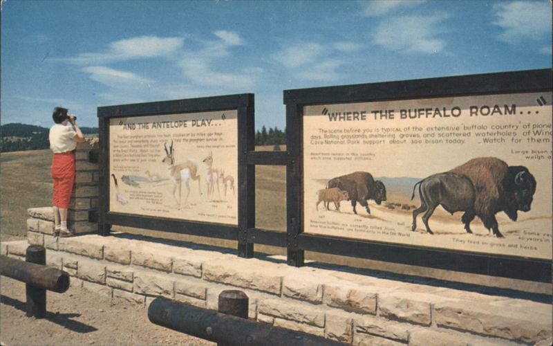 Wind Cave National Park Buffalo & Antelope Exhibits South Dakota