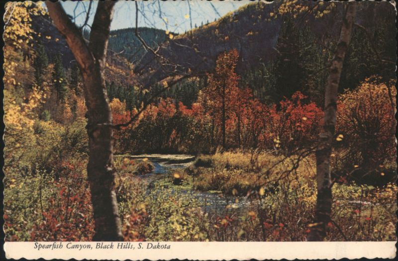 Spearfish Canyon, Black Hills, Autumn Foliage, Stream South Dakota