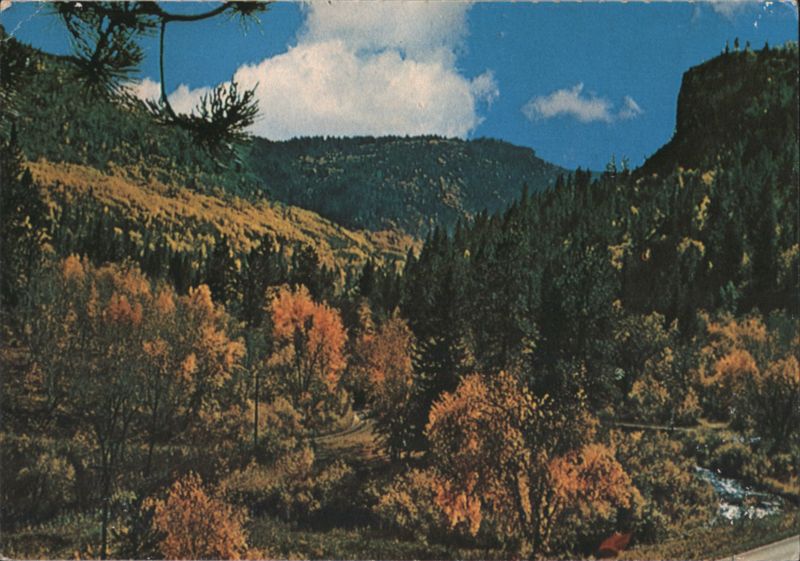 Spearfish Canyon Autumn Colors, SD South Dakota Clyde Goin