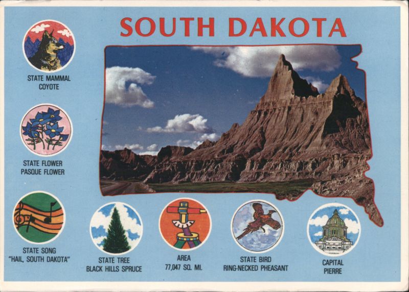 South Dakota State Symbols & Badlands Landscape