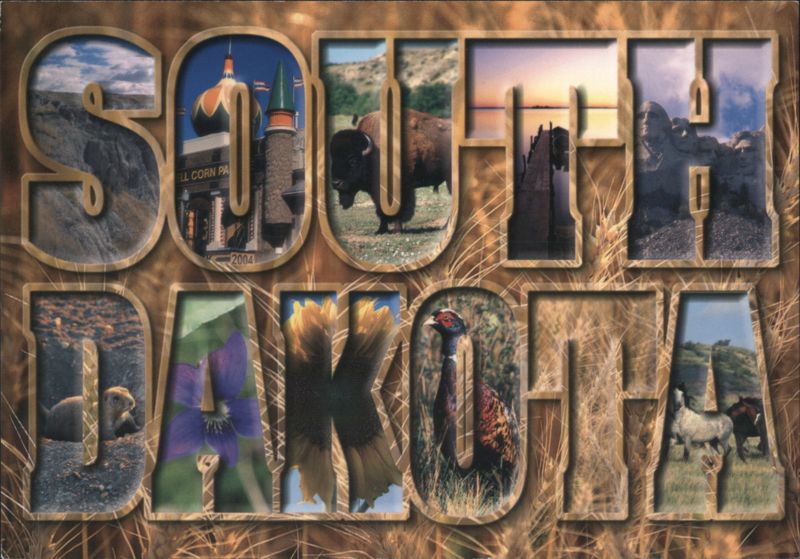 SOUTH DAKOTA Letter Art, State Flower, Bird, Landmarks