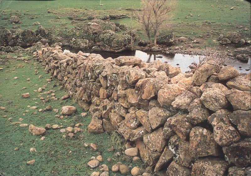 Historic Chinese Rock Wall, Northern California Foothills